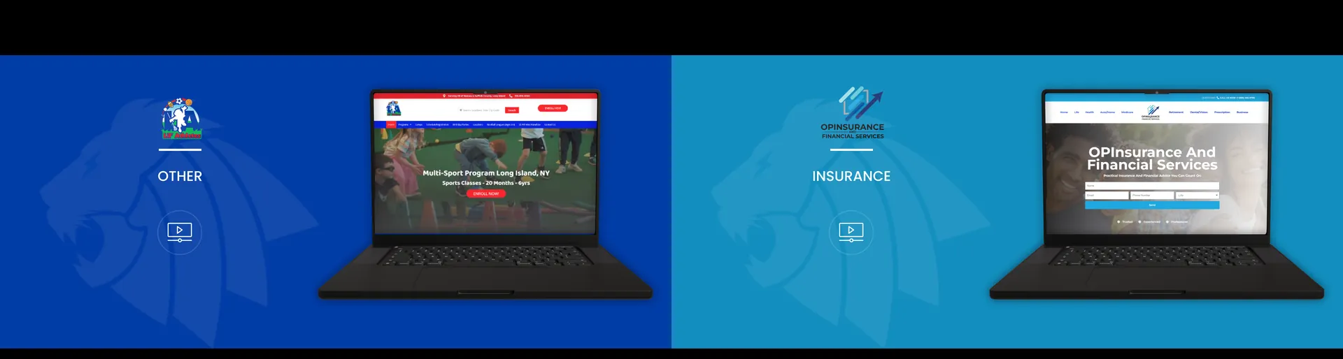 RewardLion portfolio row 48